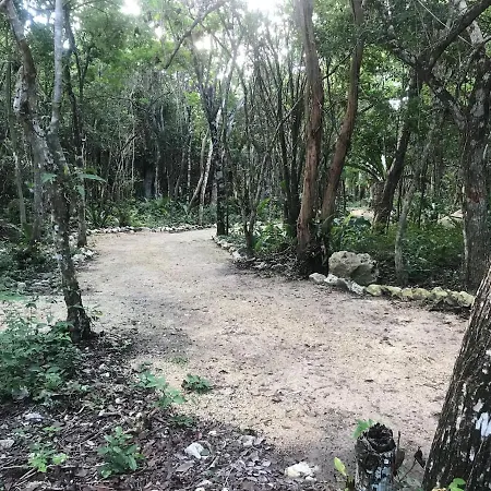 Nueve Tulum