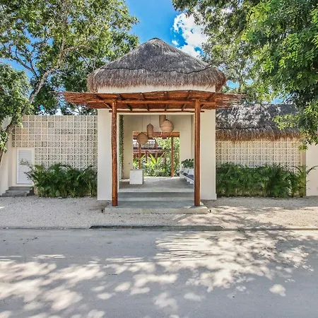 Zenses Wellness And Yoga - Adults Only