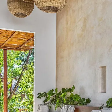 Hotel Zenses Wellness And Yoga - Adults Only Tulum
