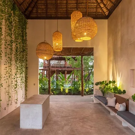 Zenses Wellness And Yoga - Adults Only 4*