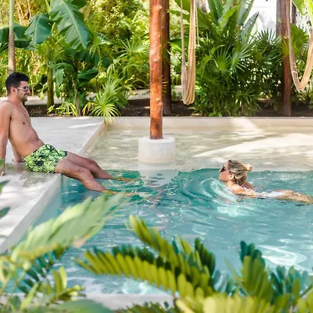 Zenses Wellness And Yoga - Adults Only