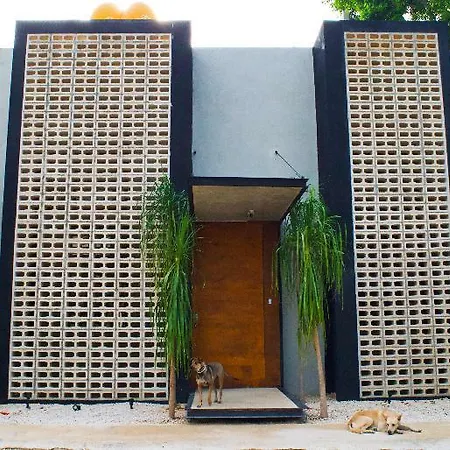 Mio Boutique Hotel Tulum