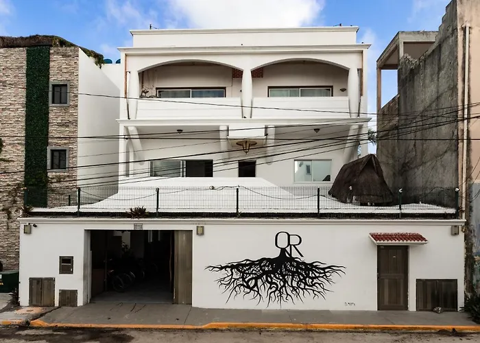 Quintana Roots Hostel