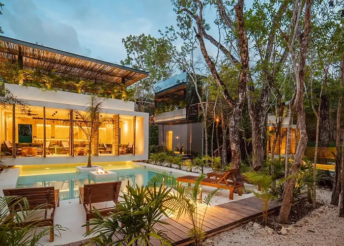 Invisible House Tulum - Jungle Studio
