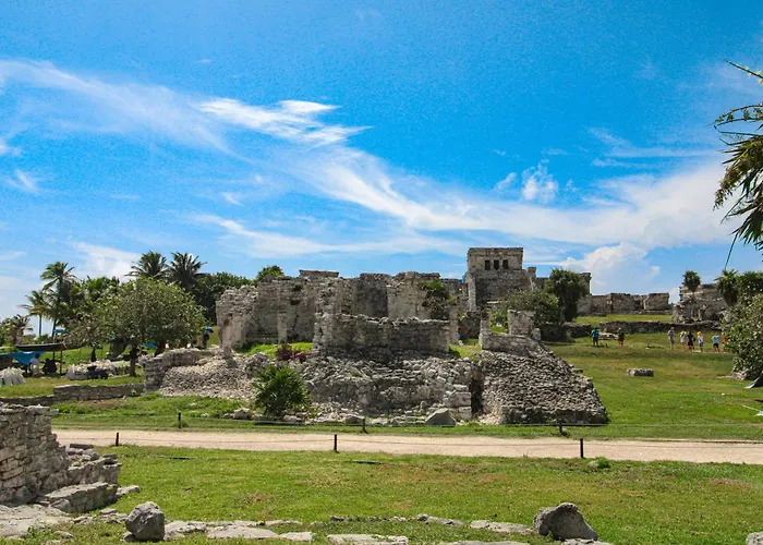 Pure Tulum 102