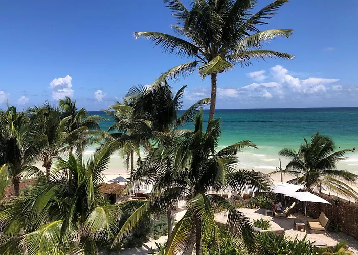 Modern Studio With Rooftop Pool In Tulum Downtown