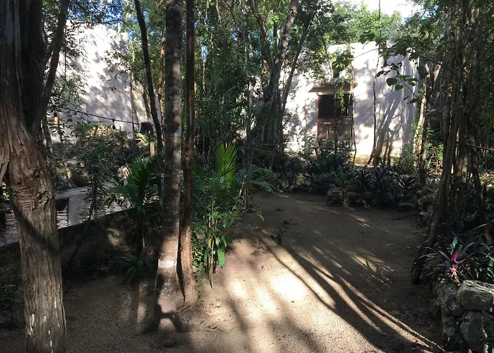 Barefoot Jungle Studios