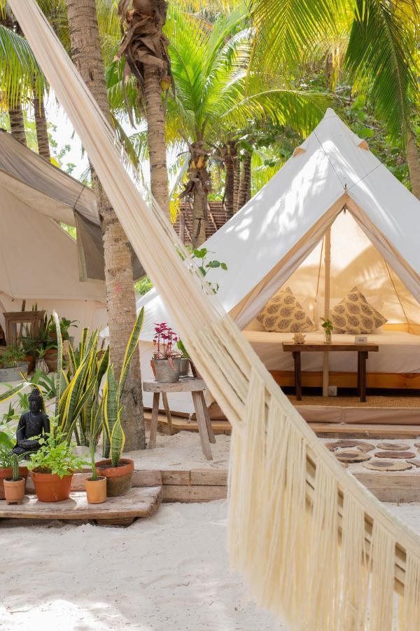 Cinco Tenda de luxo