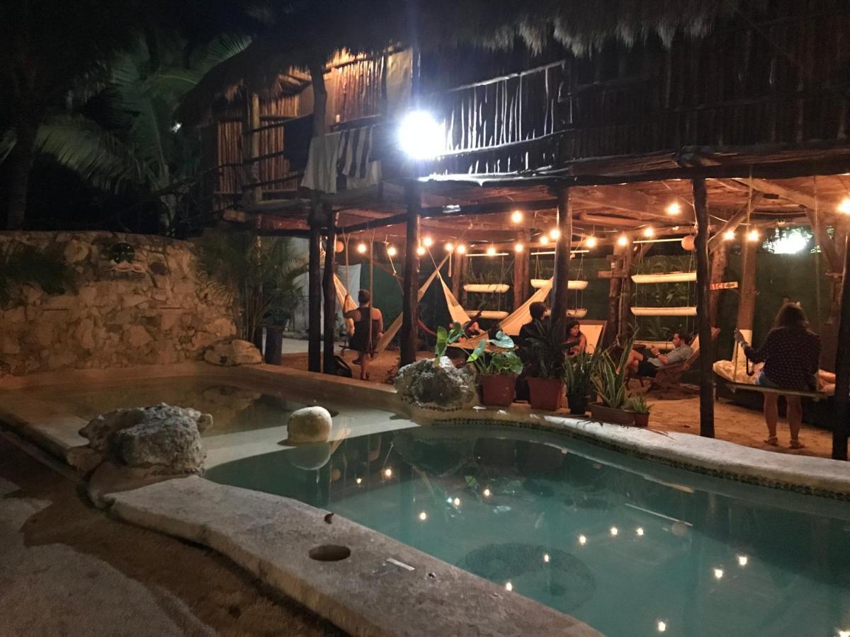 Lobo 2* Tulum