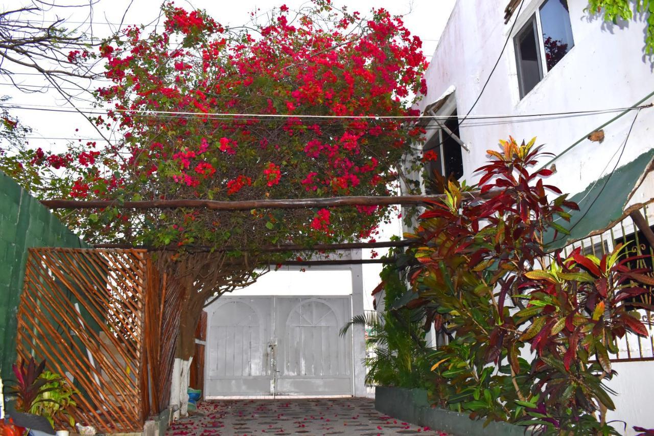 Lobo Bed & Breakfast