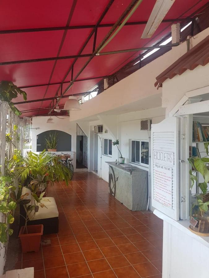 Bed & Breakfast Lobo Tulum