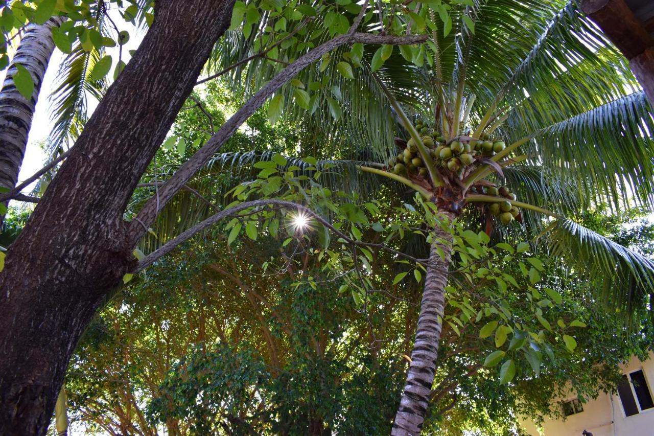 Lobo Bed & Breakfast Tulum