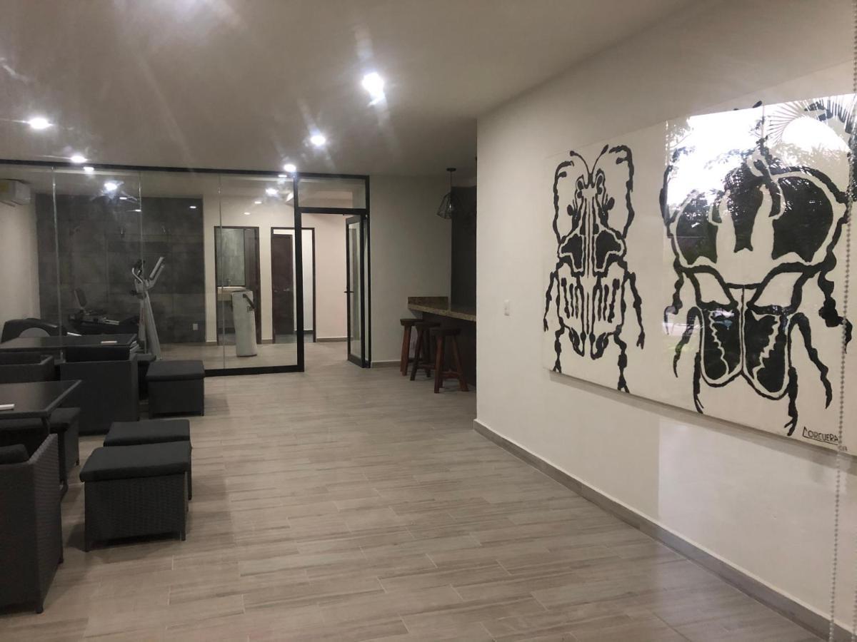 Buda Elementus Apartamento *
