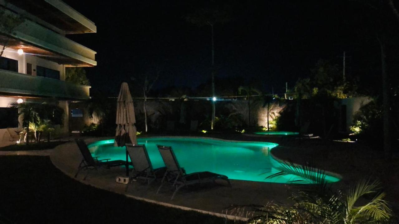 Buda Elementus Apartamento *