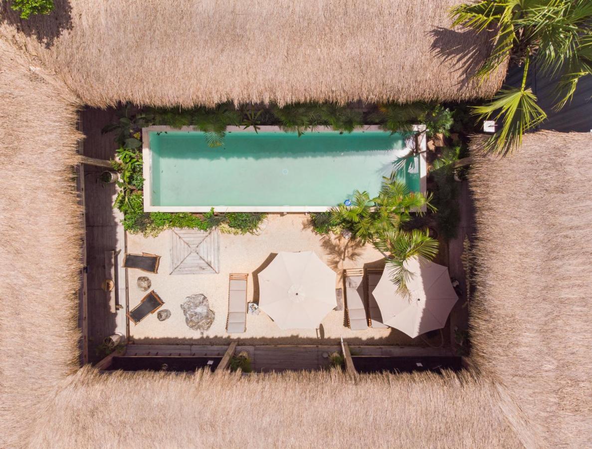 Meteora & Coffeehouse Tulum