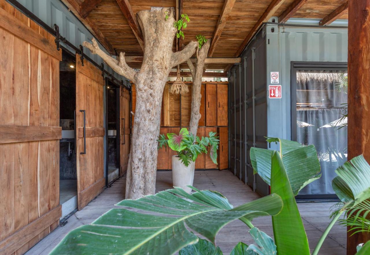 Hostel Meteora & Coffeehouse Tulum