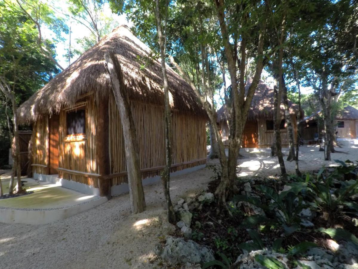 Nueve Campsite Tulum