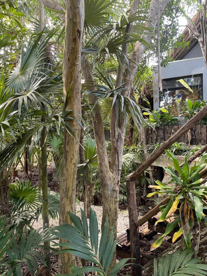 Roc Jungle Tulum