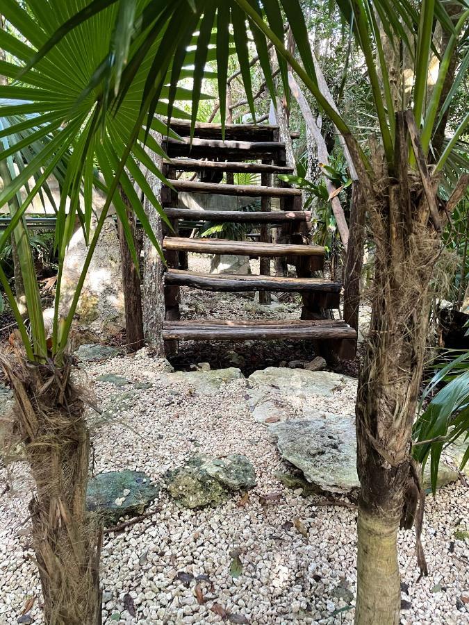 Roc Jungle Tulum