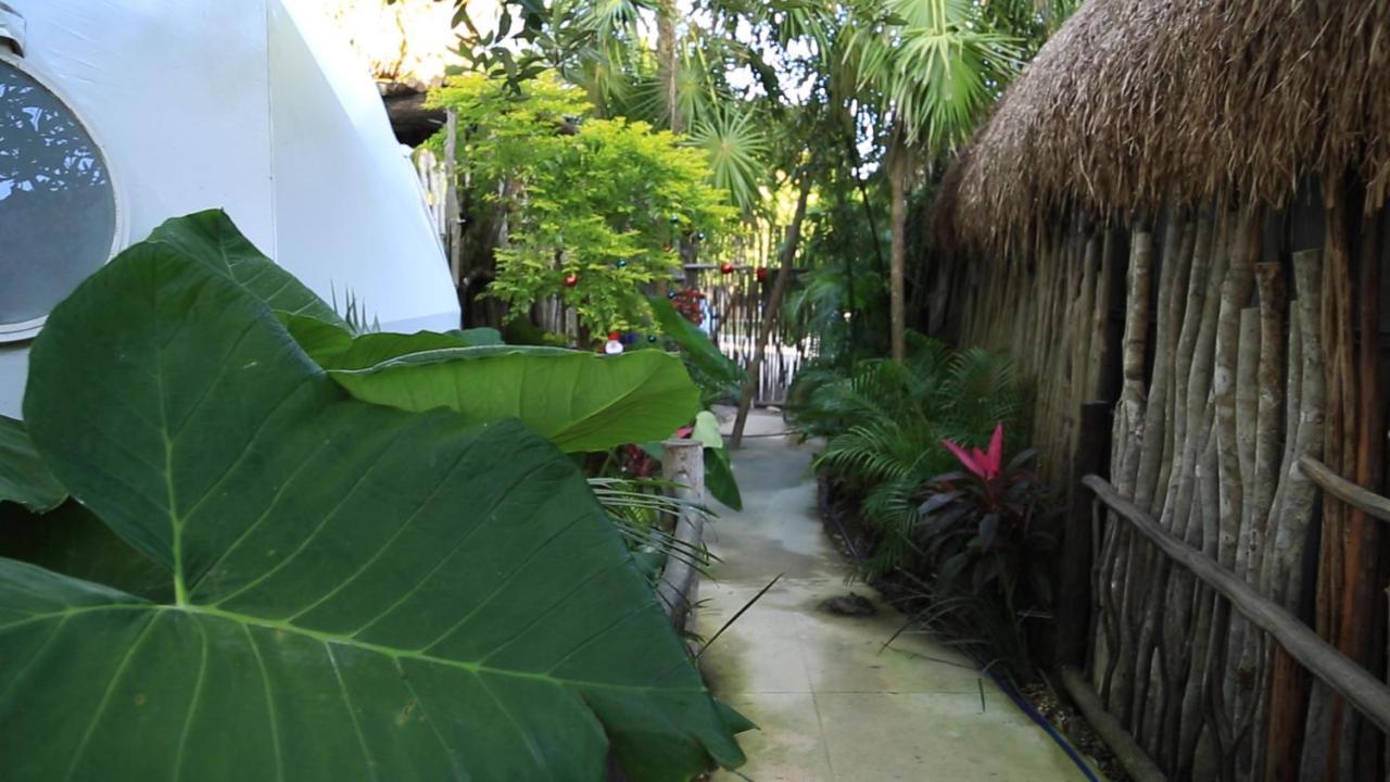 Glamping With Private Mini Pool * Tulum