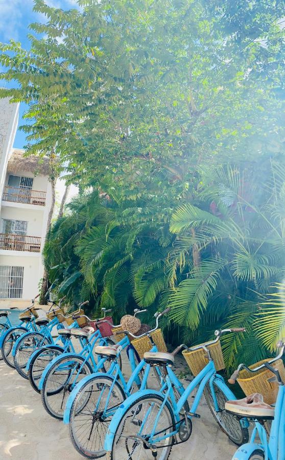 Loto Hotel *