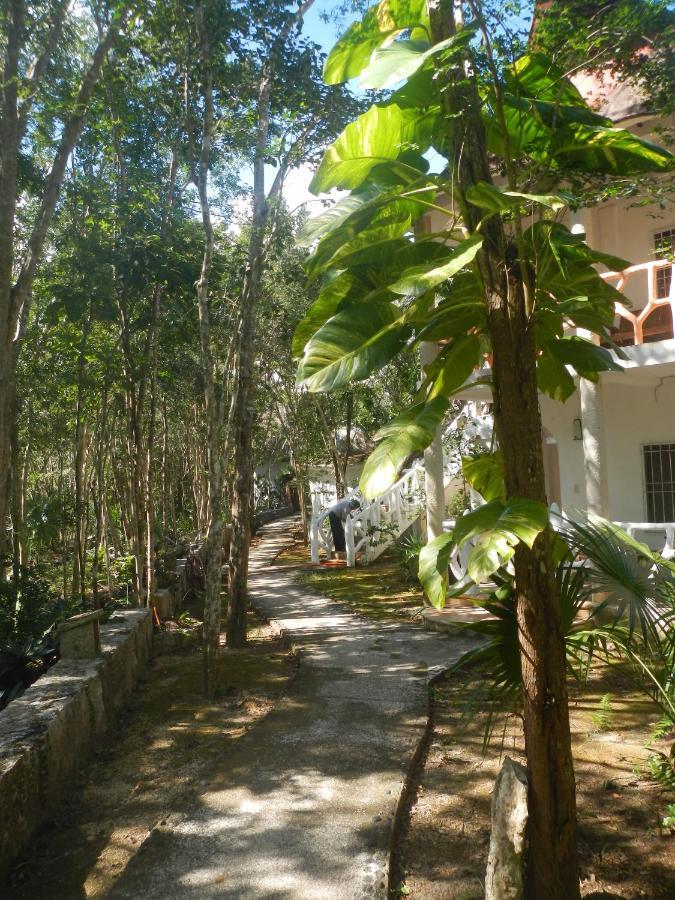 Jazba Jungle Retreat