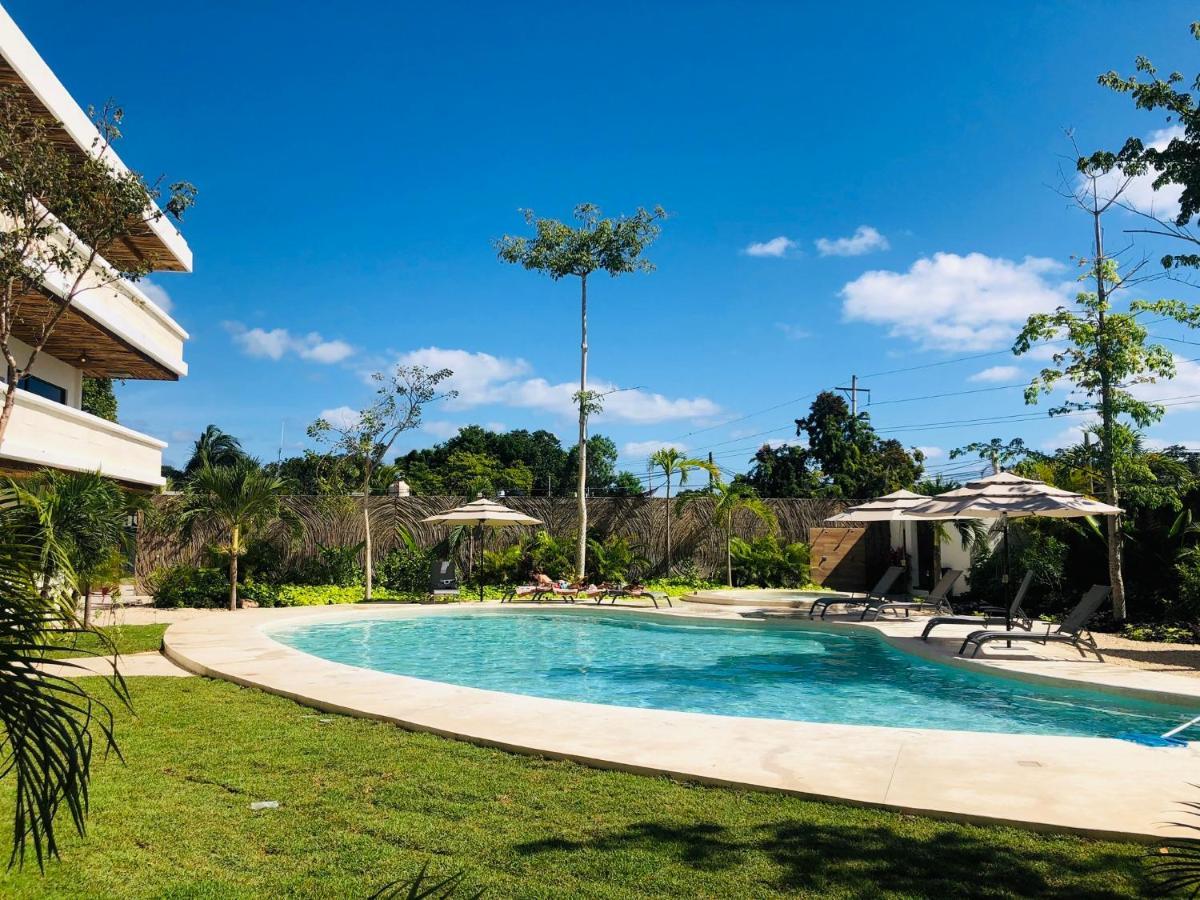 Apartamento Buda Elementus *