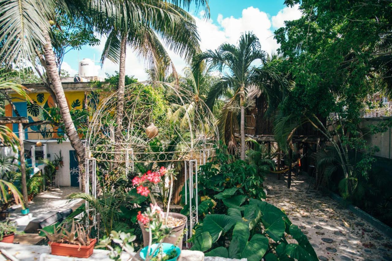 Lobo Bed & Breakfast 2*