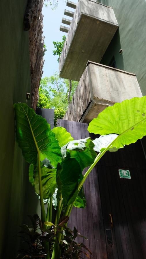 Bed & Breakfast Loba Male Only Tulum