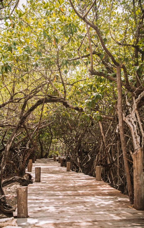 Uman Glamping & Cenote Luxury tent