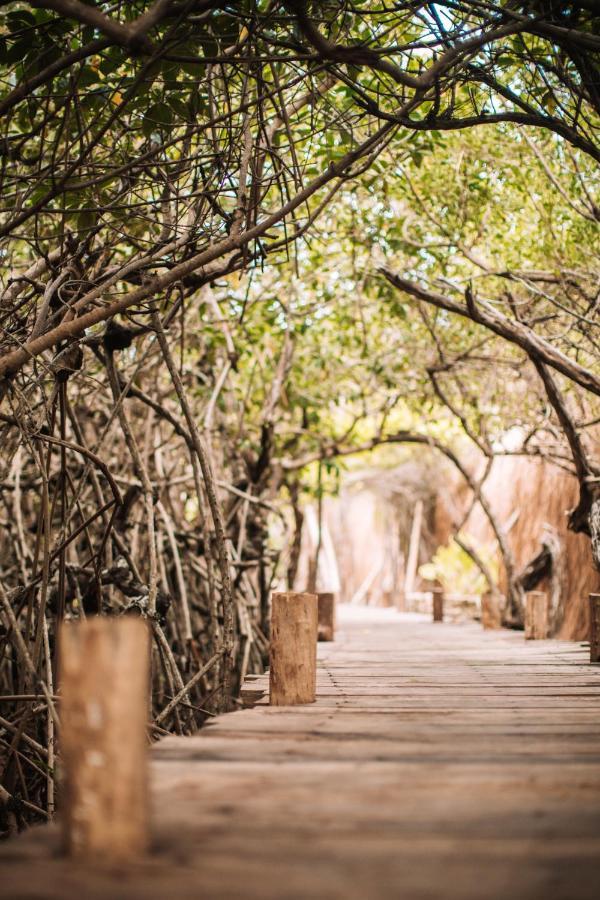 Luxury tent Uman Glamping & Cenote *