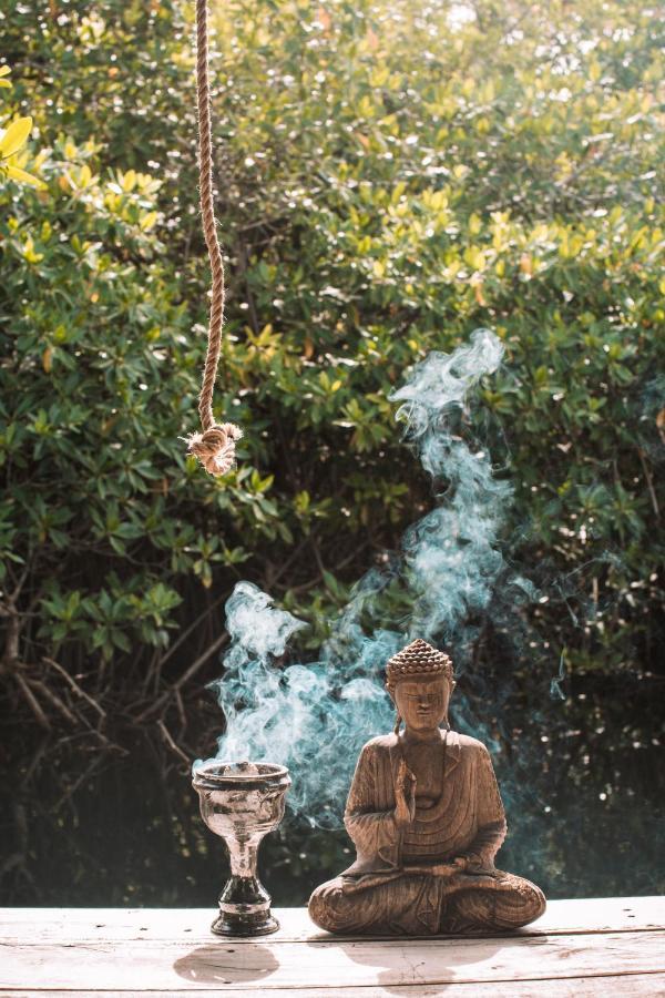 Uman Glamping & Cenote