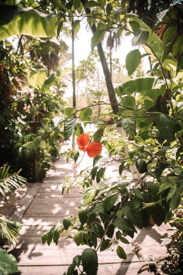 Uman Glamping & Cenote Luxury tent Tulum