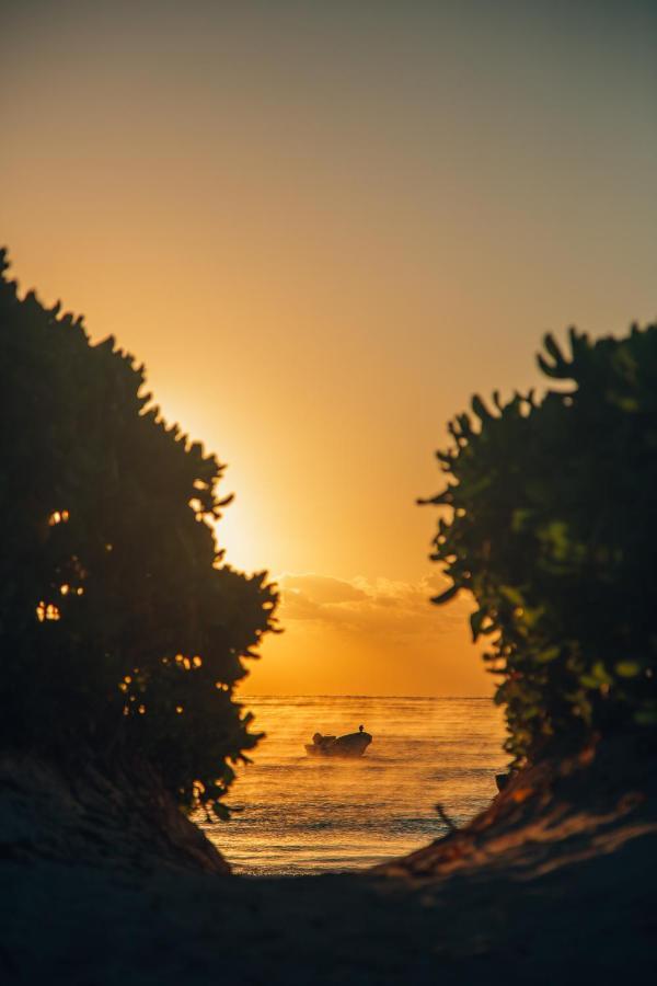 Luxury tent Glamp Ikal Tulum