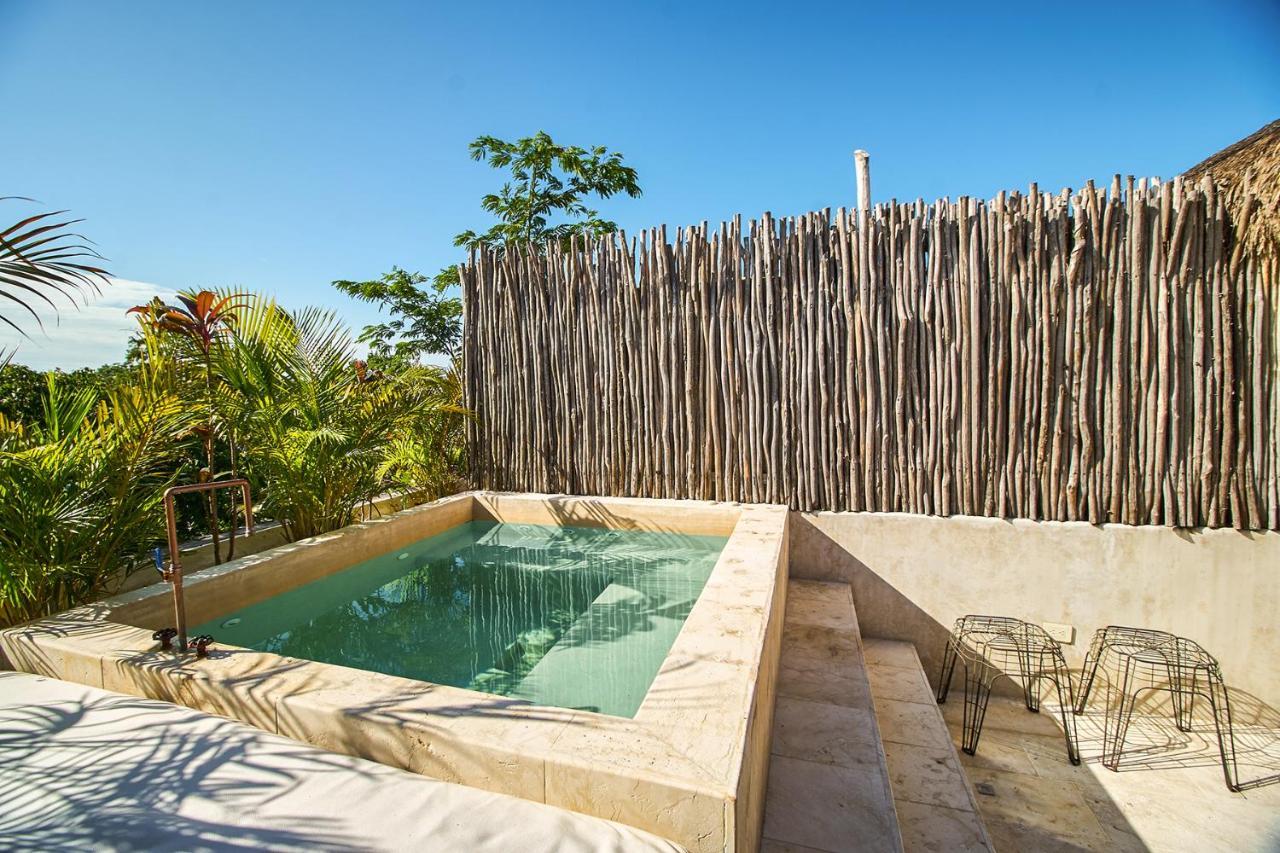 Eco-chic Design Wrapped In Nature's Elements By Stella