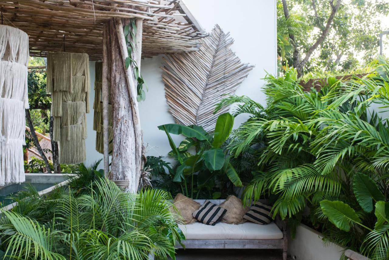 Hotel Orchid House Jungle 5*