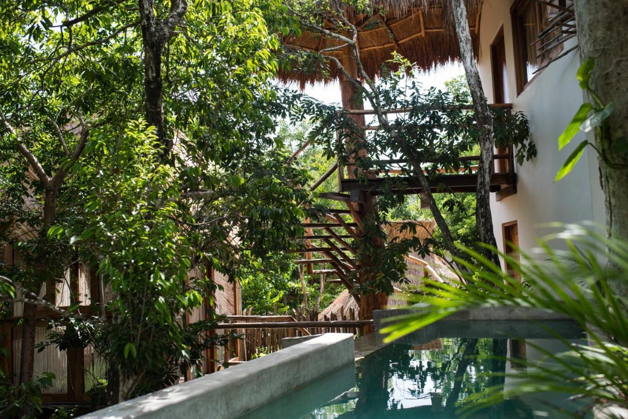 Orchid House Jungle 5*