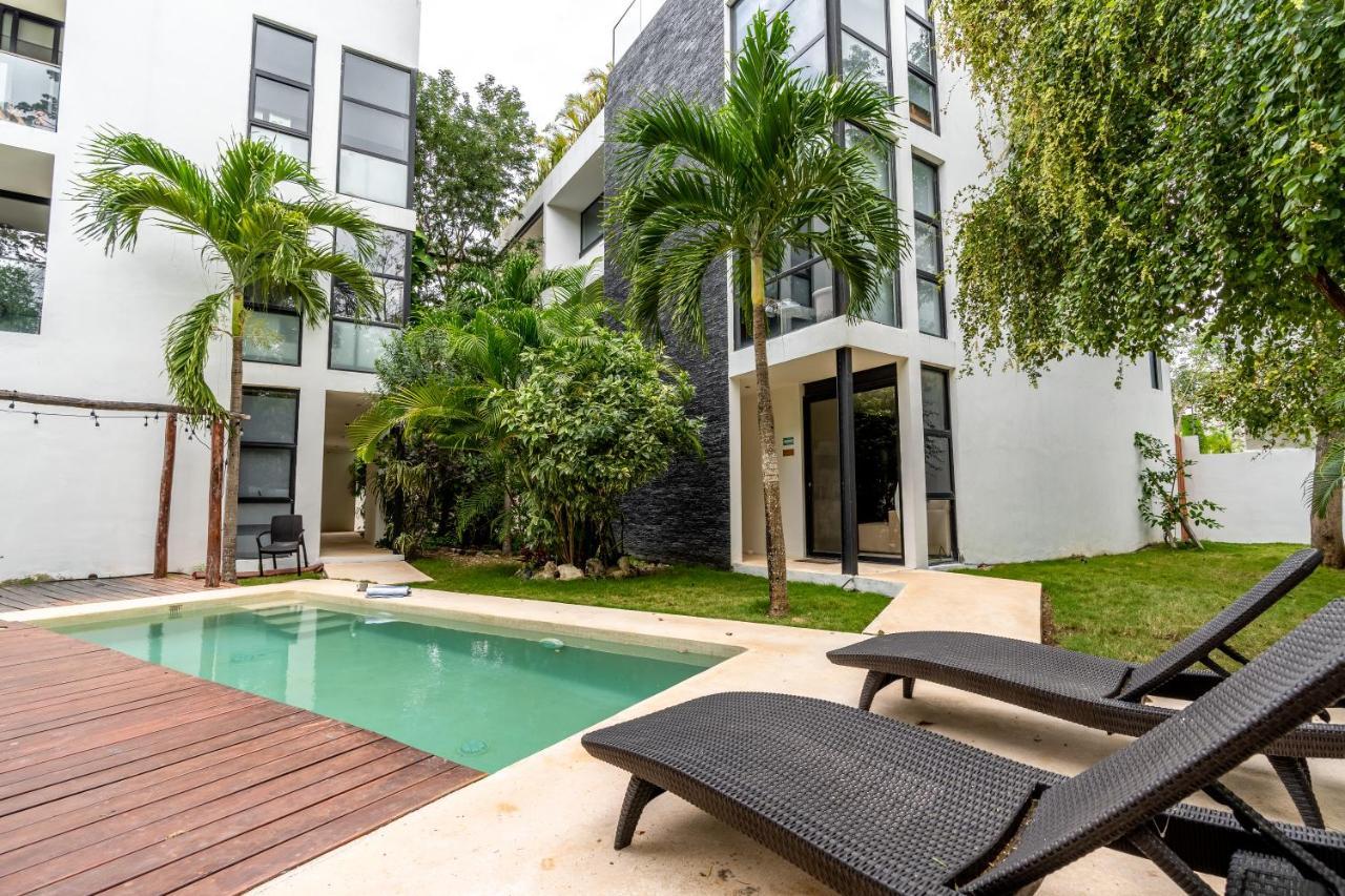 Loft Laurel Plunge Pool , Wifi, A/c, Parking Tulum