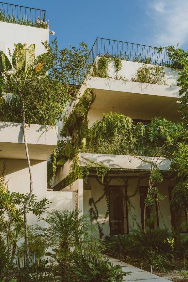 Jashita Luxury