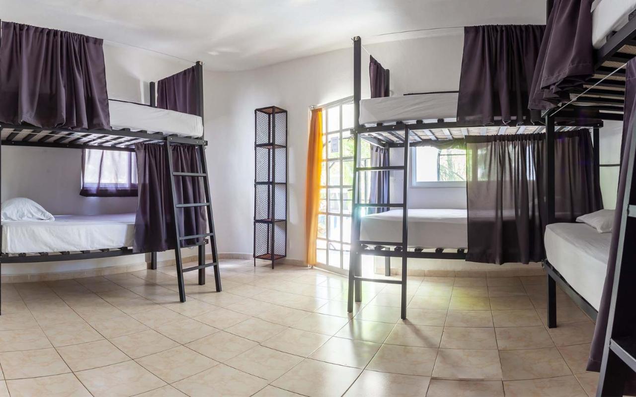 Oryx Hostel