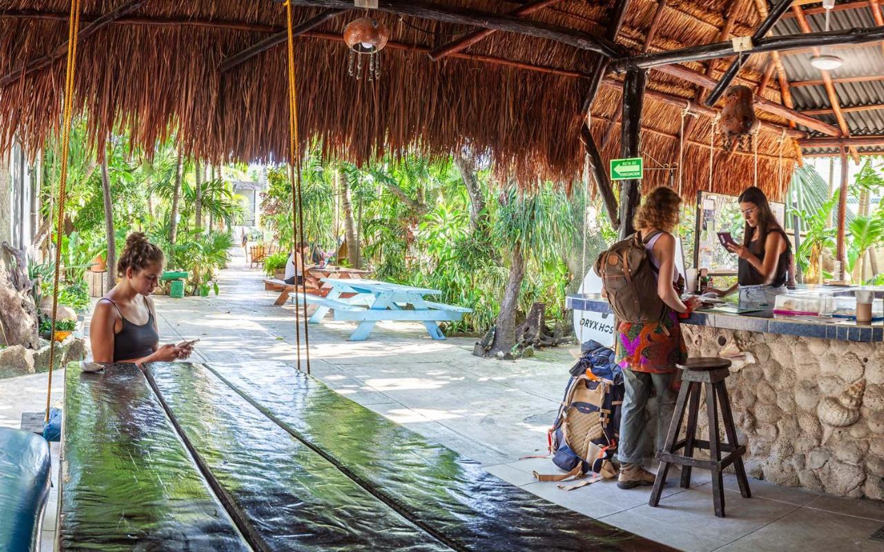Oryx Hostel Tulum
