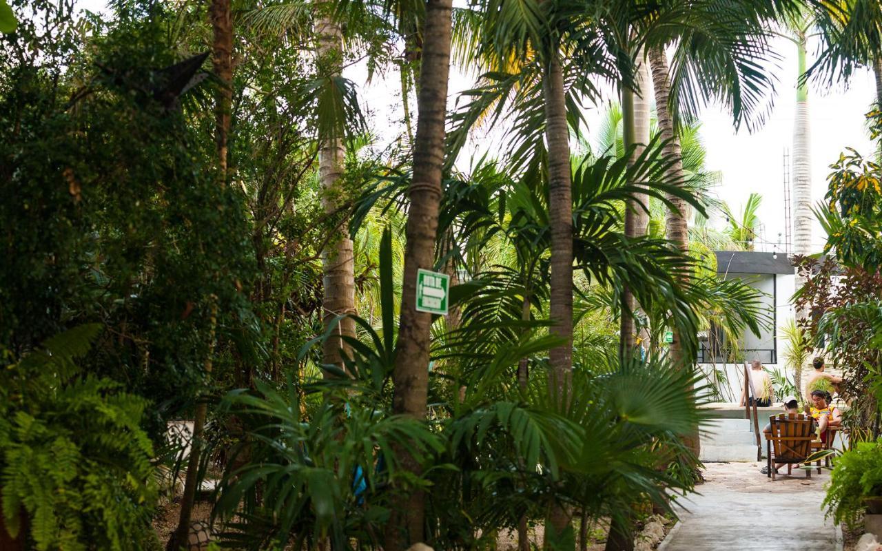 Oryx Tulum