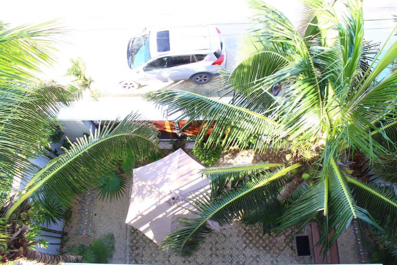 Bed & Breakfast Las Mariposas *