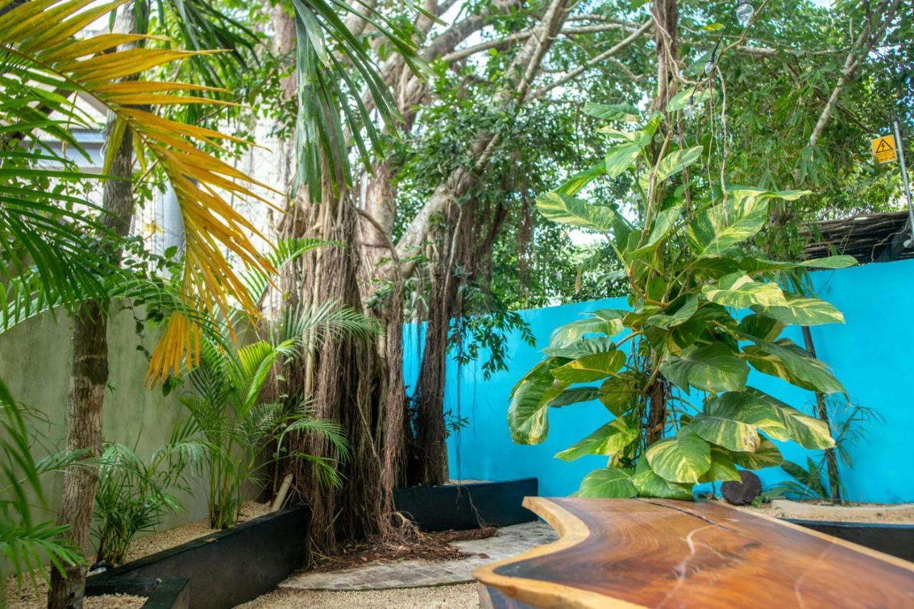 The Castle Of Guest house