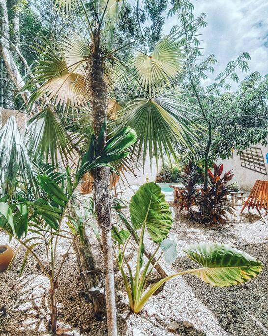 Holiday home Casa Arena Tulum