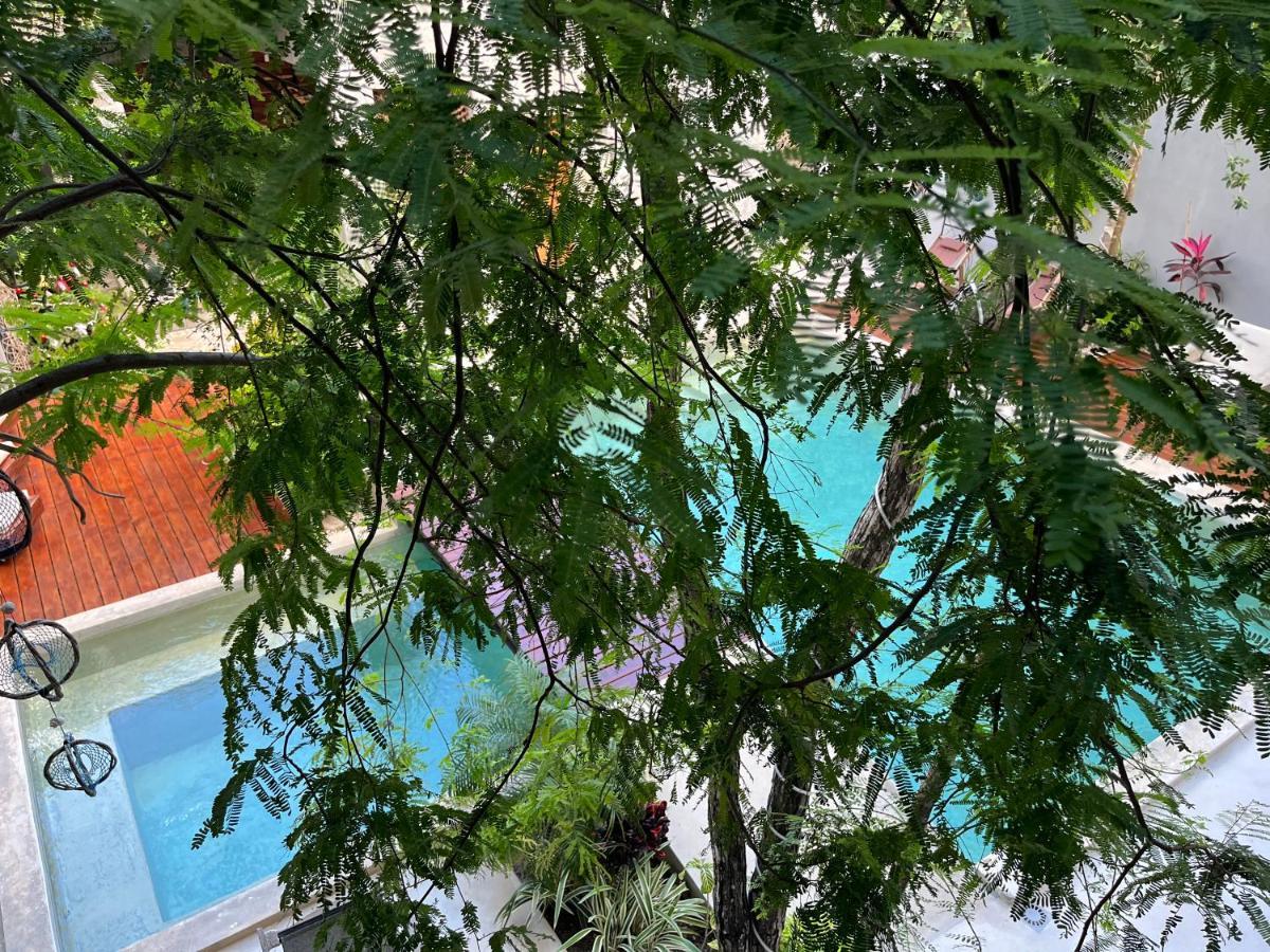 Hotel Little Gem La Veleta 4*