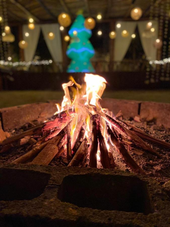 Hostel The - Food, Drinks And Transportation To The And Cenotes