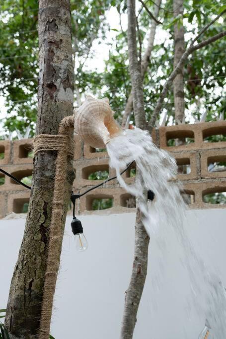 Villa Luxury&nature Rosita Tulum/ Work&rest Spaces Tulum