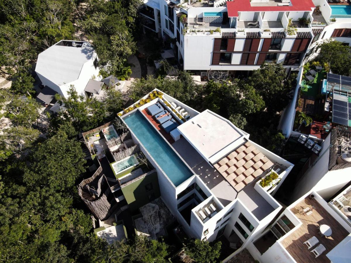 Azalea By Zama Homes Tulum