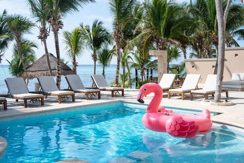 Mansion In Soliman Bay For 34 Guests! Tulum